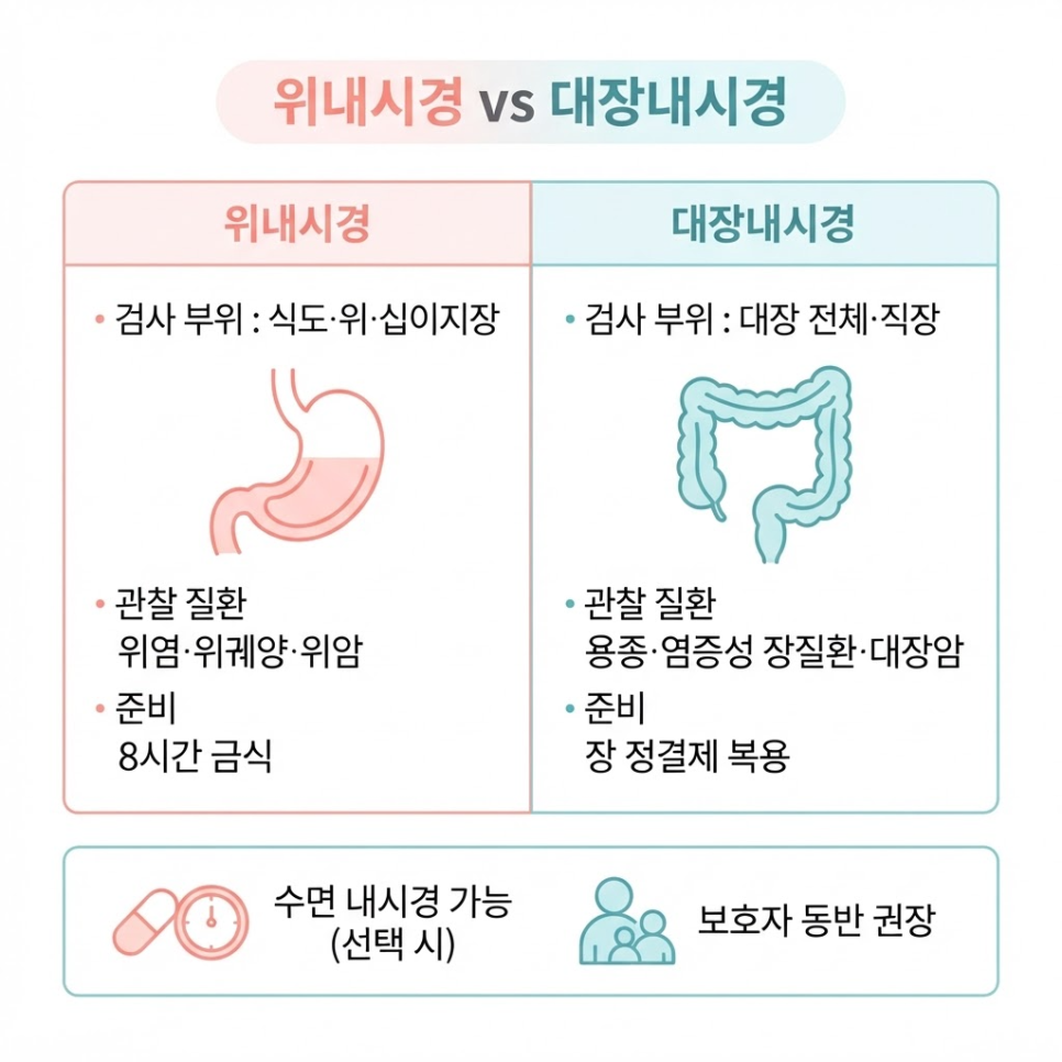 20대 위내시경 관련 이미지 4